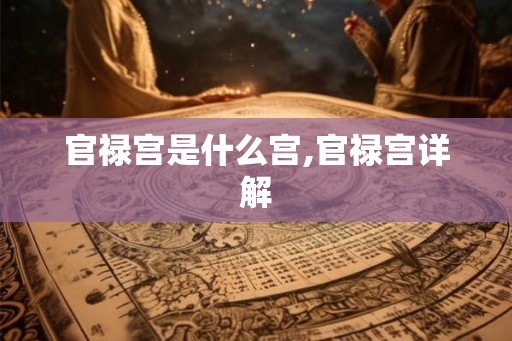 官禄宫是什么宫,官禄宫详解 官禄宫是什么宫,官禄宫详解