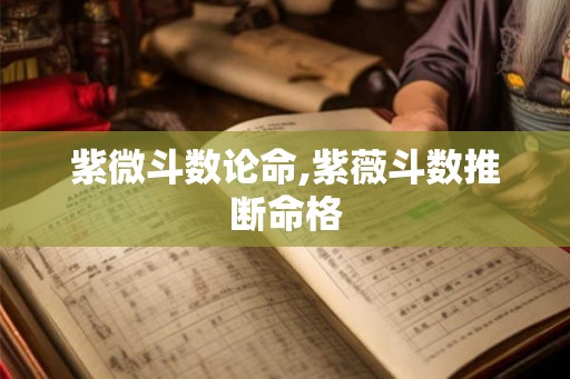 紫微斗数论命,紫薇斗数推断命格