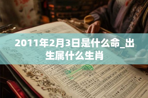 2011年2月3日是什么命_出生属什么生肖
