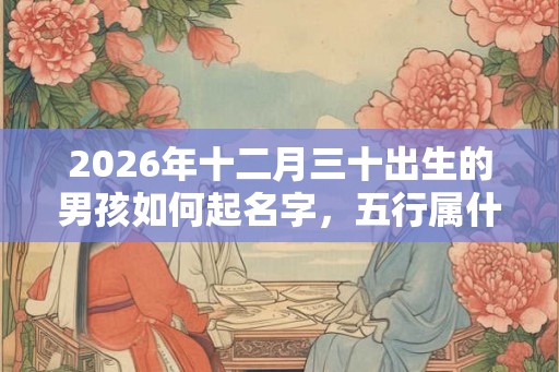 2026年十二月三十出生的男孩如何起名字，五行属什么