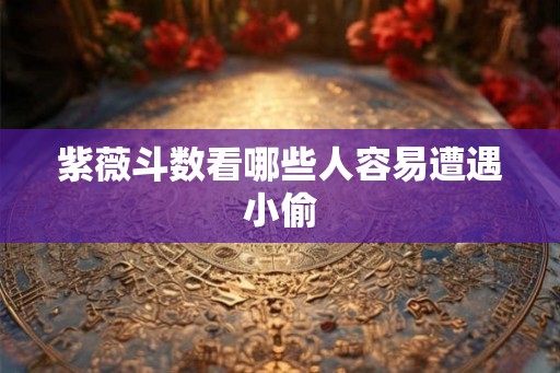 紫薇斗数看哪些人容易遭遇小偷