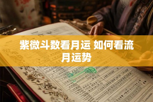紫微斗数看月运 如何看流月运势