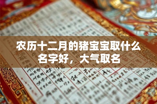 农历十二月的猪宝宝取什么名字好，大气取名