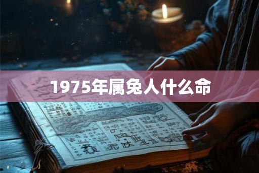 1975年属兔人什么命