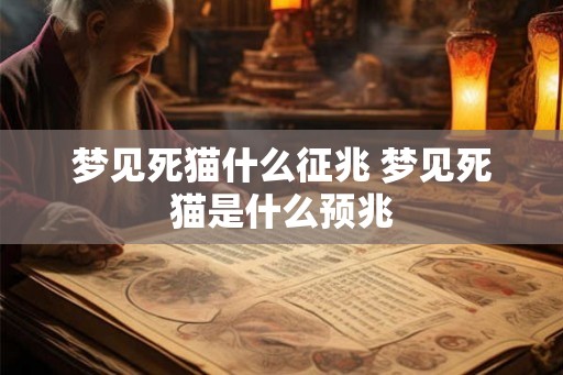梦见死猫什么征兆 梦见死猫是什么预兆