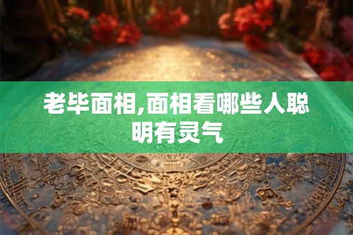 老毕面相,面相看哪些人聪明有灵气
