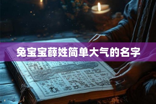 兔宝宝薛姓简单大气的名字