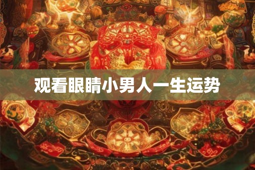 观看眼睛小男人一生运势