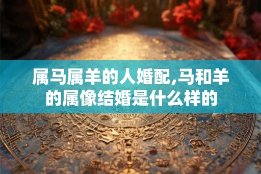 属马属羊的人婚配,马和羊的属像结婚是什么样的