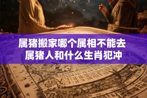 属猪搬家哪个属相不能去 属猪人和什么生肖犯冲