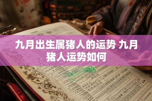 九月出生属猪人的运势 九月猪人运势如何