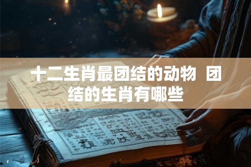 十二生肖最团结的动物  团结的生肖有哪些