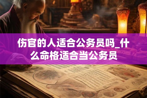 伤官的人适合公务员吗_什么命格适合当公务员