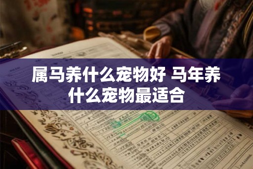 属马养什么宠物好 马年养什么宠物最适合