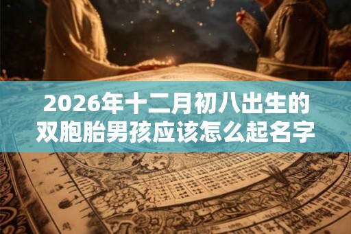 2026年十二月初八出生的双胞胎男孩应该怎么起名字，宜用哪些字好