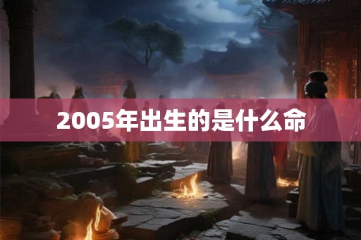 2005年出生的是什么命