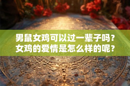 男鼠女鸡可以过一辈子吗？女鸡的爱情是怎么样的呢？