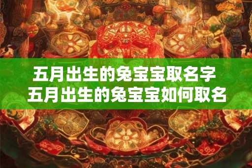 五月出生的兔宝宝取名字 五月出生的兔宝宝如何取名