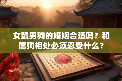 女鼠男狗的婚姻合适吗?和属狗相处必须忍受什么? 女鼠男狗的婚姻合适吗?和属狗相处必须忍受什么?