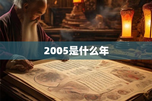 2005是什么年