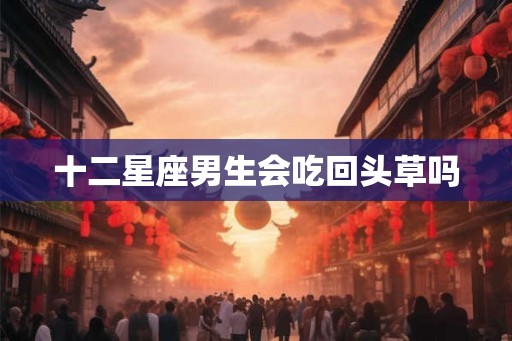 十二星座男生会吃回头草吗