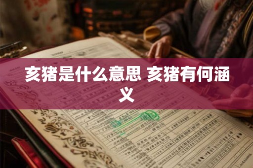 亥猪是什么意思 亥猪有何涵义