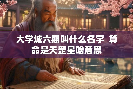 大学城六期叫什么名字  算命是天罡星啥意思