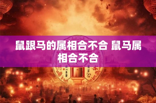 鼠跟马的属相合不合 鼠马属相合不合