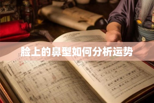 脸上的鼻型如何分析运势