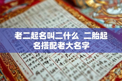 老二起名叫二什么  二胎起名搭配老大名字