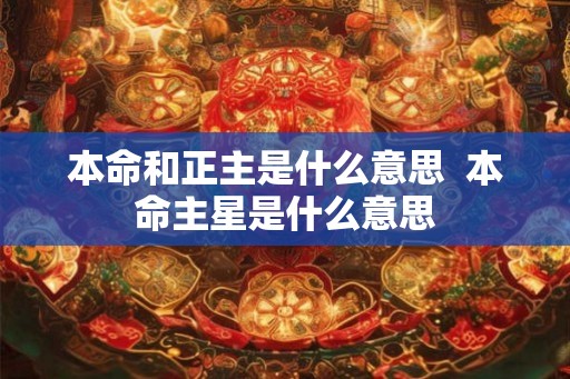 本命和正主是什么意思  本命主星是什么意思