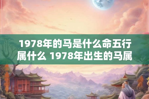 1978年的马是什么命五行属什么 1978年出生的马属于什么五行