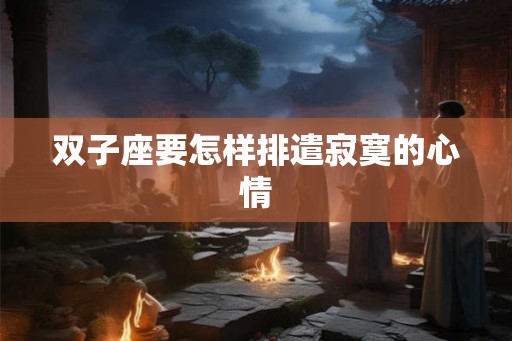 双子座要怎样排遣寂寞的心情
