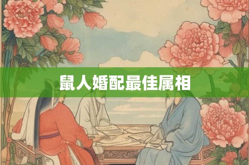 鼠人婚配最佳属相
