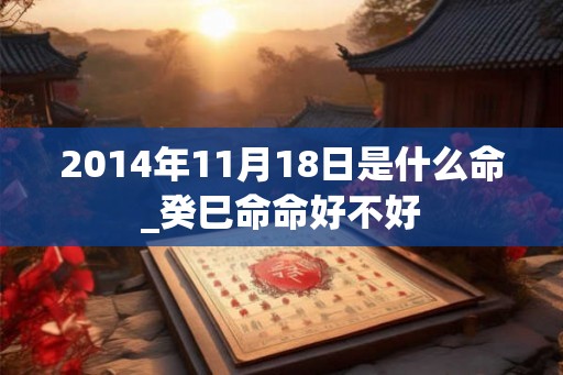 2014年11月18日是什么命_癸巳命命好不好
