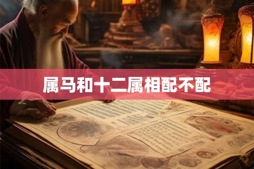 属马和十二属相配不配