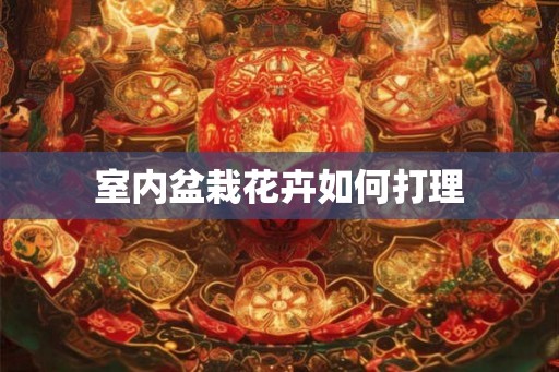 室内盆栽花卉如何打理