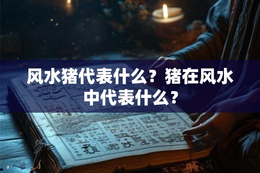 风水猪代表什么？猪在风水中代表什么？