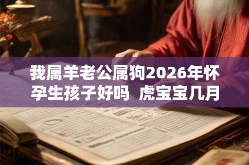我属羊老公属狗2026年怀孕生孩子好吗  虎宝宝几月出生好