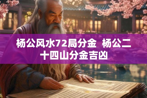 杨公风水72局分金  杨公二十四山分金吉凶