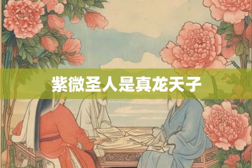 紫微圣人是真龙天子