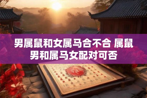 男属鼠和女属马合不合 属鼠男和属马女配对可否