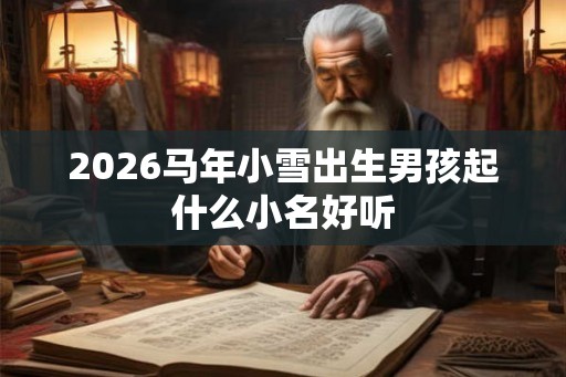 2026马年小雪出生男孩起什么小名好听
