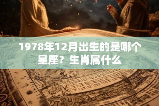 1978年12月出生的是哪个星座？生肖属什么