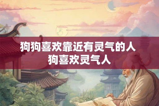 狗狗喜欢靠近有灵气的人 狗喜欢灵气人