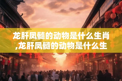 龙肝凤髓的动物是什么生肖,龙肝凤髓的动物是什么生肖呢