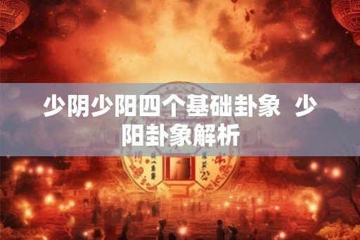 少阴少阳四个基础卦象  少阳卦象解析