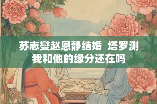 苏志燮赵恩静结婚  塔罗测我和他的缘分还在吗