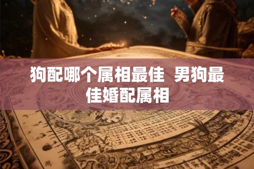狗配哪个属相最佳  男狗最佳婚配属相