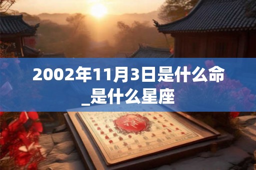 2002年11月3日是什么命_是什么星座